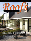 roofs dakluiken.jpg